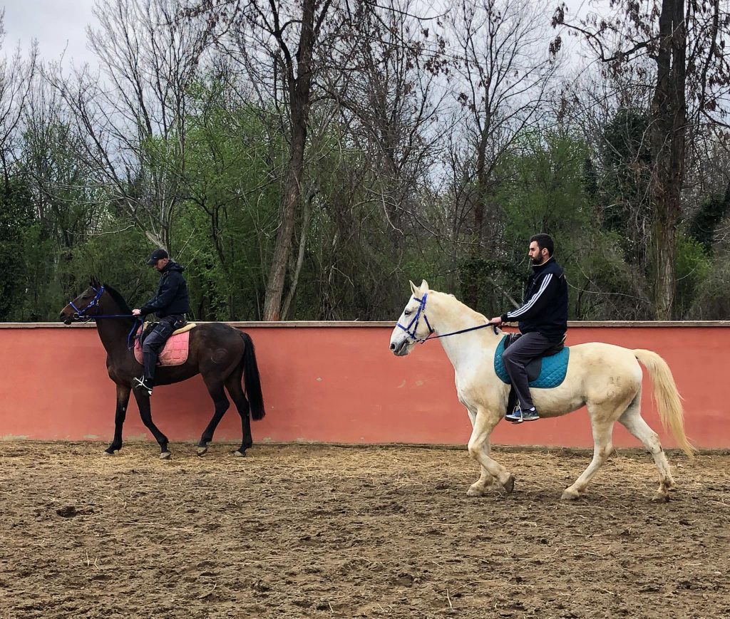 Ranč Tanasić – Škola jahanja