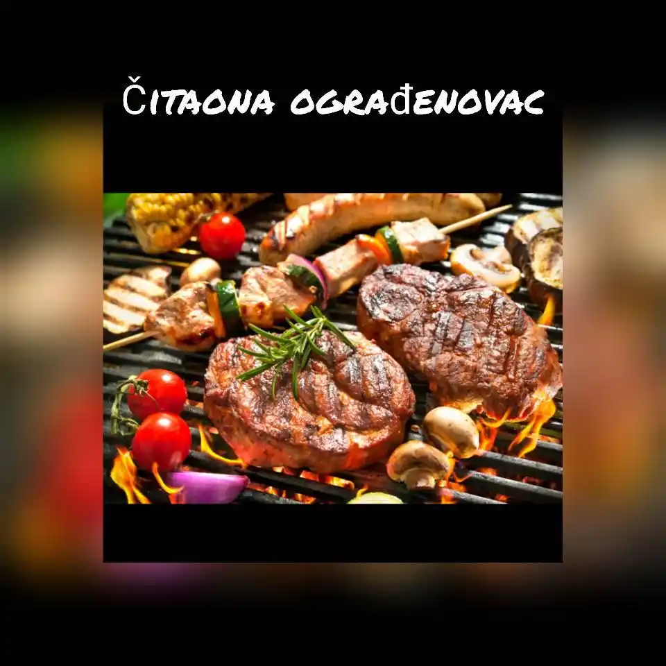 Čitaona Ograđenovac